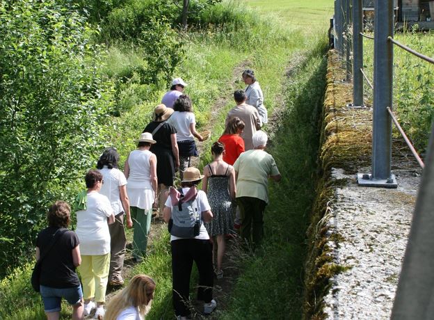 Kräuter-Spaziergang an der Alfenz mit Zubereitung & Verkostung